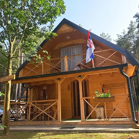 Bliznakinje